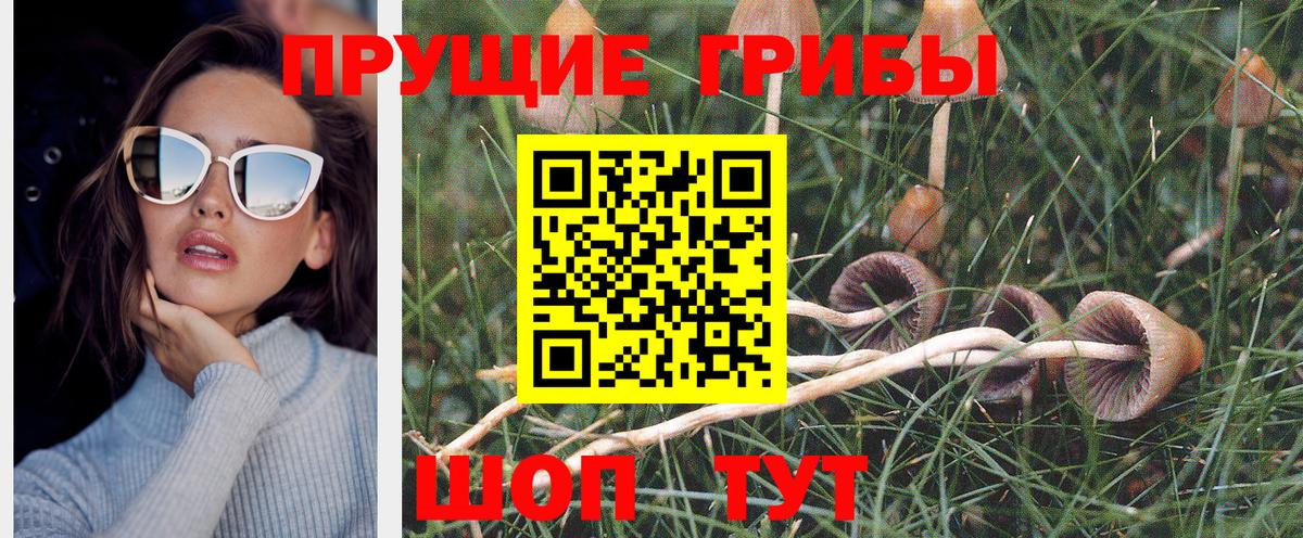 Галлюциногенные грибы Magic Shrooms  Вход с VPN  Апатиты 