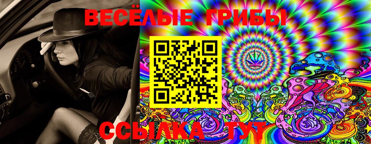 Галлюциногенные грибы Magic Shrooms Апатиты